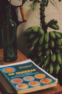 Photo "How to quickly adapt to changes and constantly evolve"