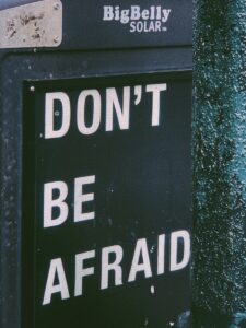 Photo "How to succeed in business without being caught by the fear of failure"