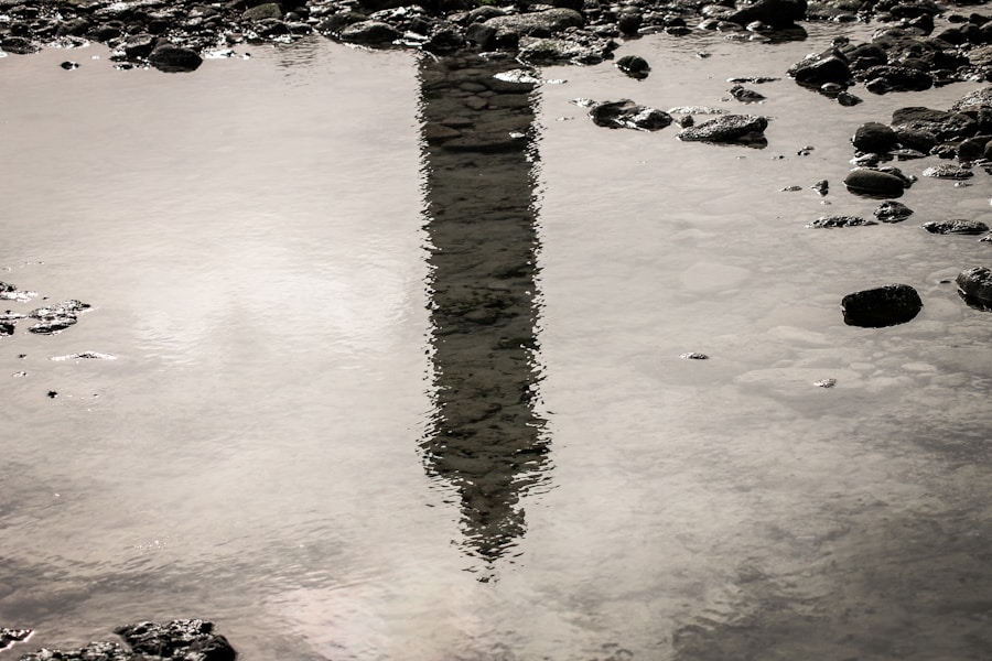 Photo "How to develop your leadership skills through self-reflection"