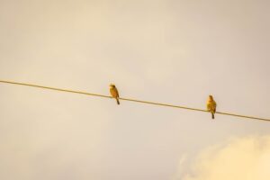 Photo How to be a leader who balances authority and empathy
