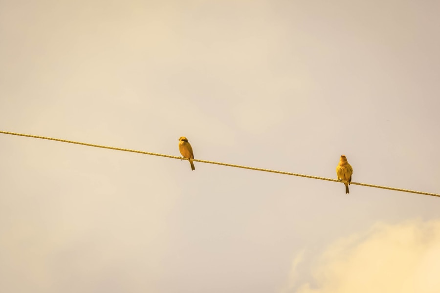 Photo How to be a leader who balances authority and empathy