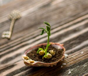 Photo "5 ways content marketing can grow your business"