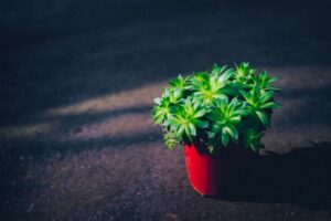 Photo "10 ways to grow your personal brand"