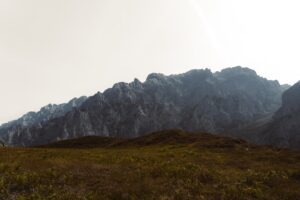 Photo freelancing