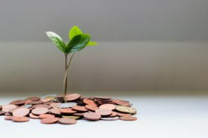 Photo financial planning