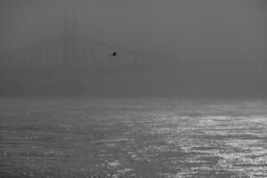 Photo visibility