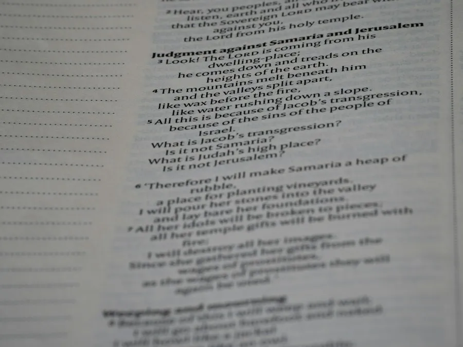 management concepts overview
